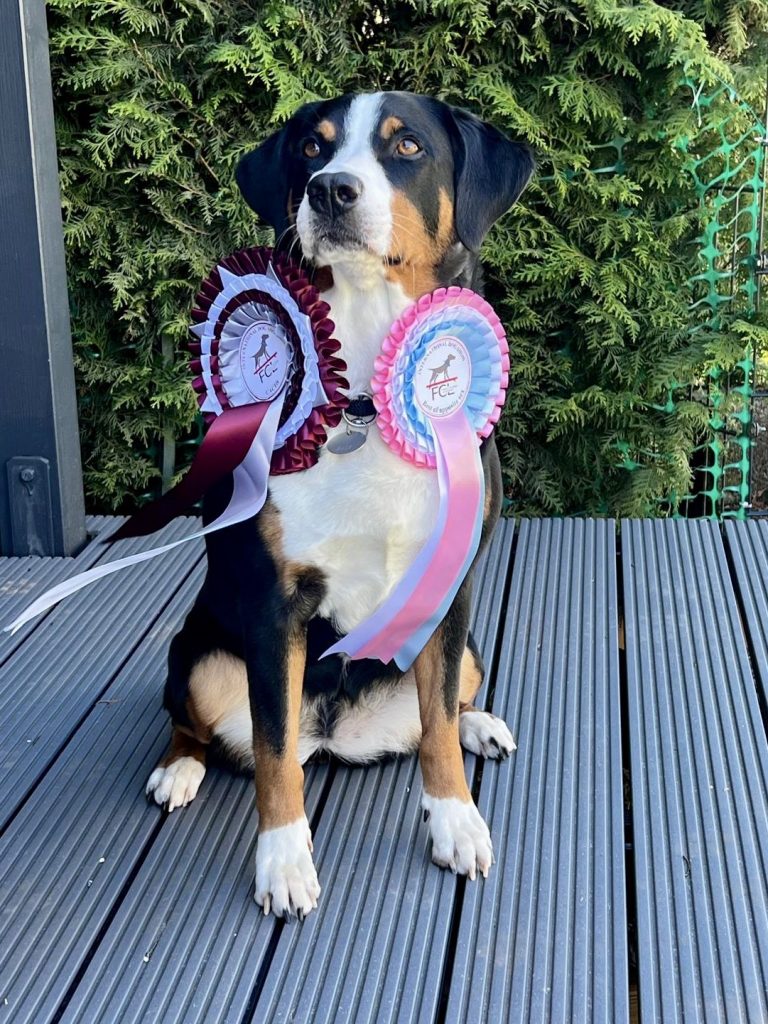 Appenzeller vom Reiwieskopf Appenzeller vom Reiwieskopf